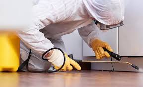 Real Estate Pest Inspections in Jennings Lodge, OR